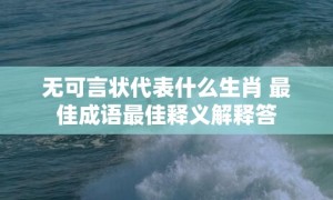 无可言状代表什么生肖 最佳成语最佳释义解释答