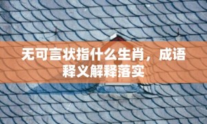 无可言状指什么生肖，成语释义解释落实