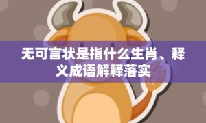 无可言状是指什么生肖、释义成语解释落实