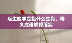 后生晚学是指什么生肖、释义成语解释落实