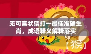 无可言状猜打一最佳准确生肖，成语释义解释落实