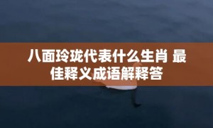 八面玲珑代表什么生肖 最佳释义成语解释答