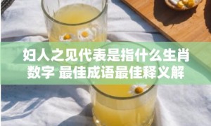 妇人之见代表是指什么生肖数字 最佳成语最佳释义解释答