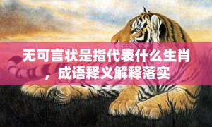 无可言状是指代表什么生肖，成语释义解释落实