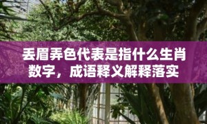 丢眉弄色代表是指什么生肖数字，成语释义解释落实