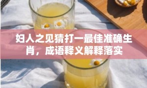 妇人之见猜打一最佳准确生肖，成语释义解释落实