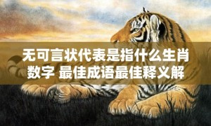 无可言状代表是指什么生肖数字 最佳成语最佳释义解释答