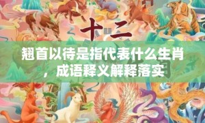 翘首以待是指代表什么生肖，成语释义解释落实