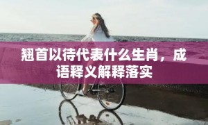 翘首以待代表什么生肖，成语释义解释落实