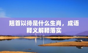 翘首以待是什么生肖，成语释义解释落实