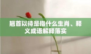 翘首以待是指什么生肖、释义成语解释落实