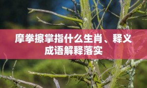 摩拳擦掌指什么生肖、释义成语解释落实