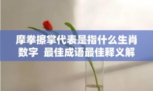 摩拳擦掌代表是指什么生肖数字  最佳成语最佳释义解释答