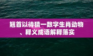 翘首以待猜一数字生肖动物、释义成语解释落实