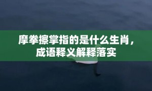 摩拳擦掌指的是什么生肖，成语释义解释落实