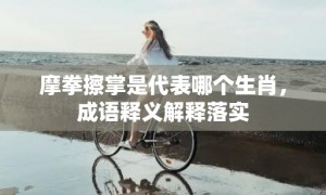 摩拳擦掌是代表哪个生肖，成语释义解释落实