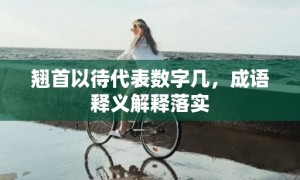 翘首以待代表数字几，成语释义解释落实