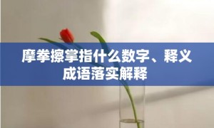 摩拳擦掌指什么数字、释义成语落实解释