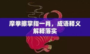 摩拳擦掌指一肖，成语释义解释落实