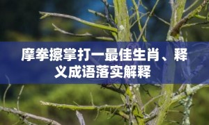 摩拳擦掌打一最佳生肖、释义成语落实解释