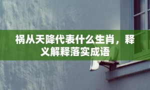 祸从天降代表什么生肖，释义解释落实成语