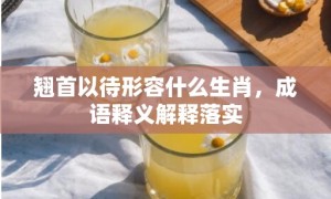 翘首以待形容什么生肖，成语释义解释落实