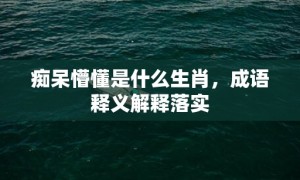 痴呆懵懂是什么生肖，成语释义解释落实