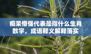 痴呆懵懂代表是指什么生肖数字，成语释义解释落实