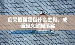 痴呆懵懂是指什么生肖，成语释义解释落实