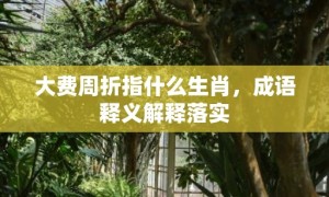 大费周折指什么生肖，成语释义解释落实