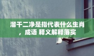 溜干二净是指代表什么生肖，成语 释义解释落实