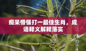 痴呆懵懂打一最佳生肖，成语释义解释落实