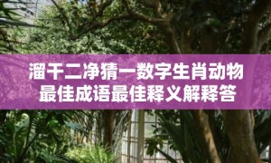 溜干二净猜一数字生肖动物 最佳成语最佳释义解释答