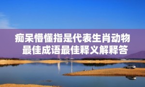 痴呆懵懂指是代表生肖动物  最佳成语最佳释义解释答