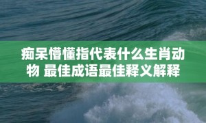 痴呆懵懂指代表什么生肖动物 最佳成语最佳释义解释答