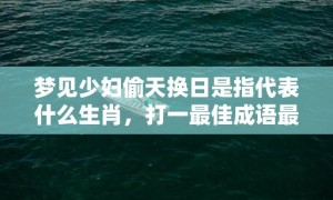 梦见少妇偷天换日是指代表什么生肖，打一最佳成语最佳释义解释答
