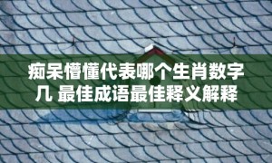 痴呆懵懂代表哪个生肖数字几 最佳成语最佳释义解释答