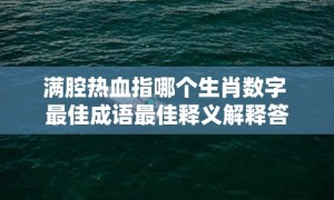 满腔热血指哪个生肖数字 最佳成语最佳释义解释答