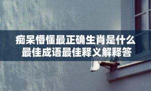 痴呆懵懂最正确生肖是什么 最佳成语最佳释义解释答