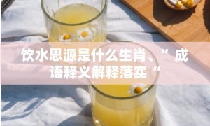 饮水思源是什么生肖、”成语释义解释落实“