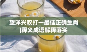 望洋兴叹打一最佳正确生肖|释义成语解释落实