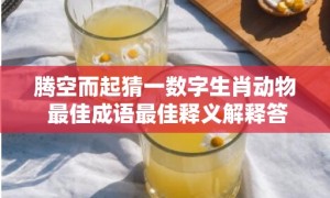 腾空而起猜一数字生肖动物 最佳成语最佳释义解释答