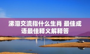 涕泪交流指什么生肖 最佳成语最佳释义解释答