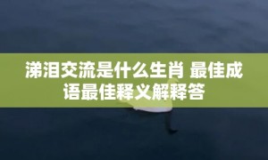 涕泪交流是什么生肖 最佳成语最佳释义解释答