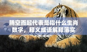 腾空而起代表是指什么生肖数字，释义成语解释落实