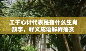 工于心计代表是指什么生肖数字，释义成语解释落实