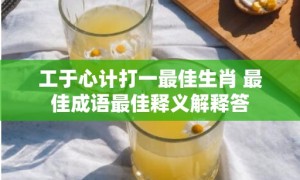 工于心计打一最佳生肖 最佳成语最佳释义解释答