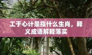 工于心计是指什么生肖，释义成语解释落实