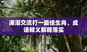 涕泪交流打一最佳生肖、成语释义解释落实