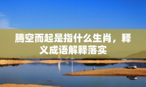 腾空而起是指什么生肖，释义成语解释落实